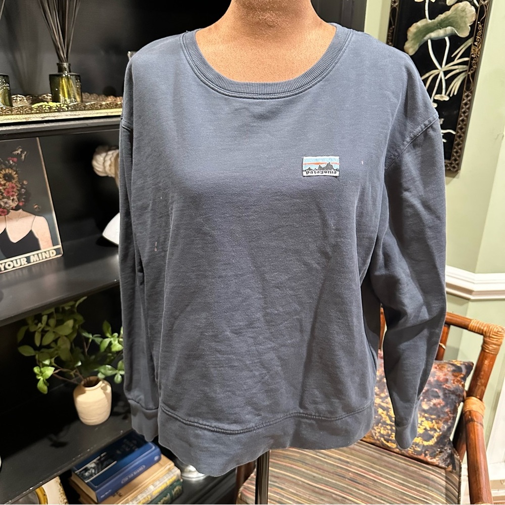 Patagonia Boxy Sweatshirt – Size M – Blue – Flawed but Full of Character